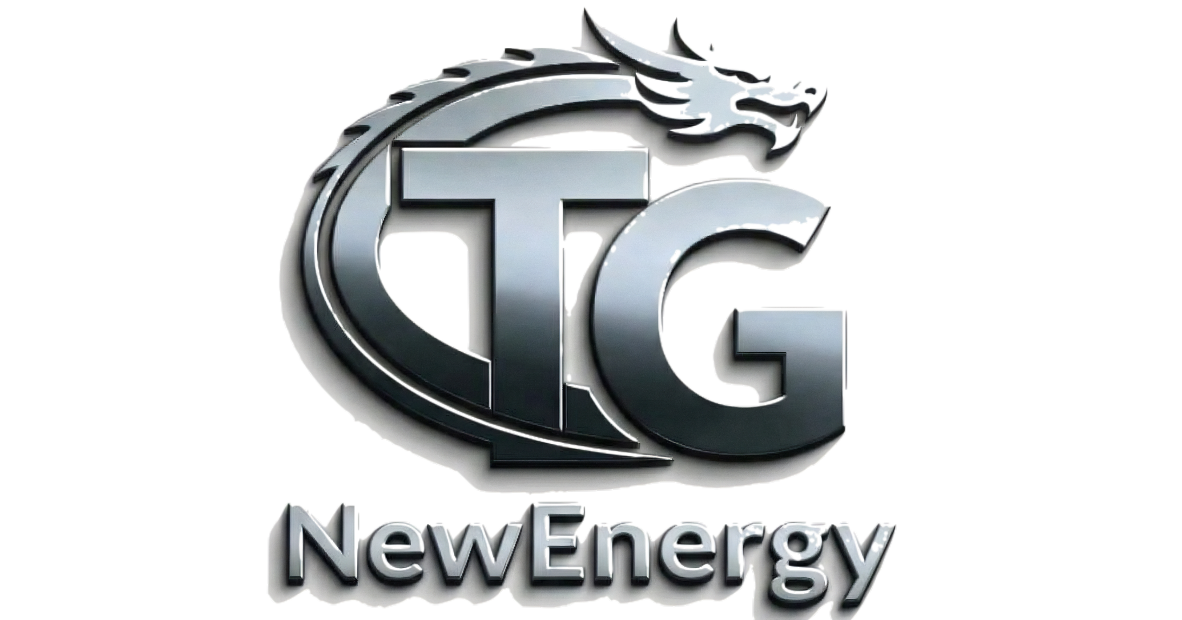 Shandong Tenglong International Trade Co., Ltd